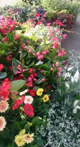 11141180_840083499403051_5673024819652494777_n