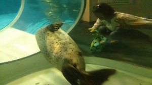 11141283_844207992323935_7194279646161666468_n