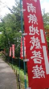 11215129_843646919046709_3083948559344127037_n