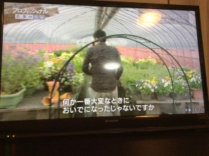 11666059_887321278005346_3408140963851814901_n