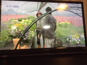 11692615_887321148005359_2415959662737985267_n