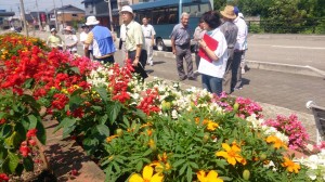 11693855_835740816503986_4628026401969174723_n