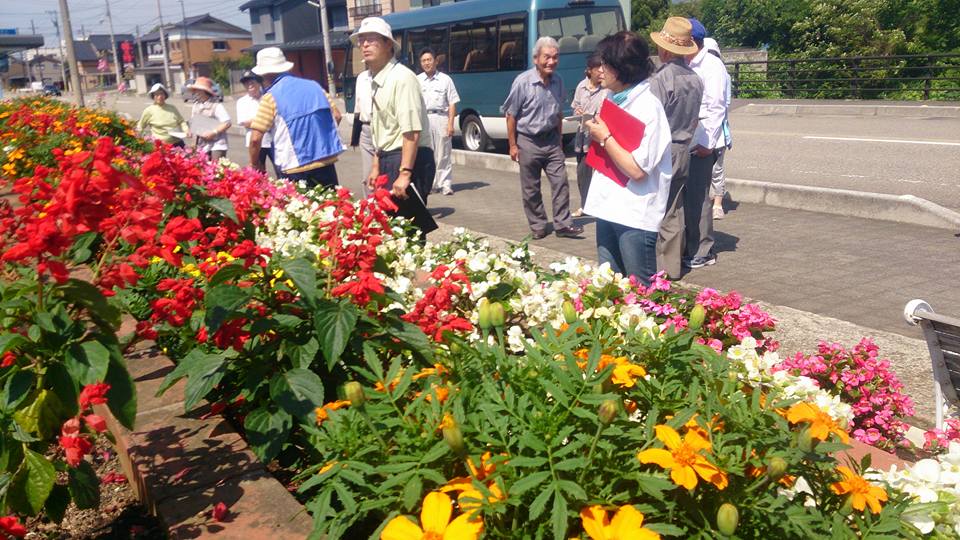 花壇コンクール２０１５