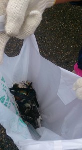 11694015_839177226160345_3608302523636497778_n