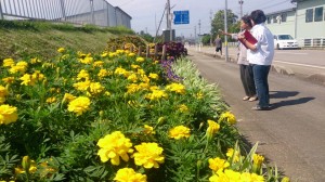 11694866_835740789837322_3487906052225811143_n