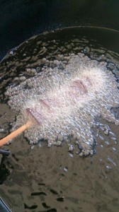 11694942_836004183150775_6331038594979609972_n