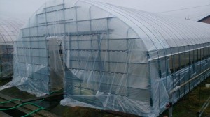 11717032_838933609518040_869739806_n