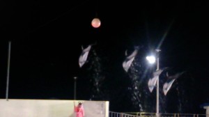 11722529_844207788990622_437236450196317571_o