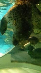 11745355_844207975657270_7463854183887614828_n