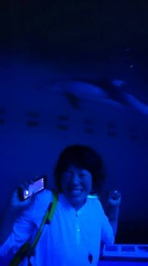 11750670_844207498990651_7577543864673172173_n