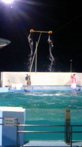 11750736_844207688990632_9178841285212806828_n