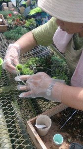 11778198_846643358747065_853806216_n