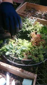 11802007_846643365413731_869537779_n