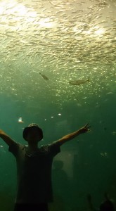 1545697_844207585657309_4653542289014534975_n