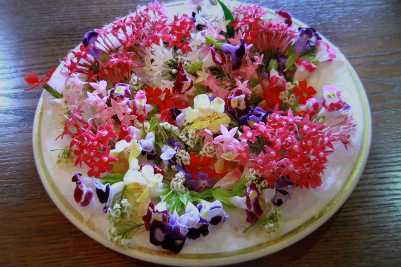 湘南健康管理センター様イベント開催中～♪