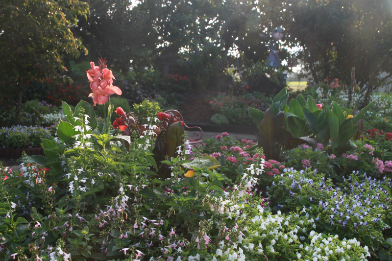 フラワールドも大きくなりました☆