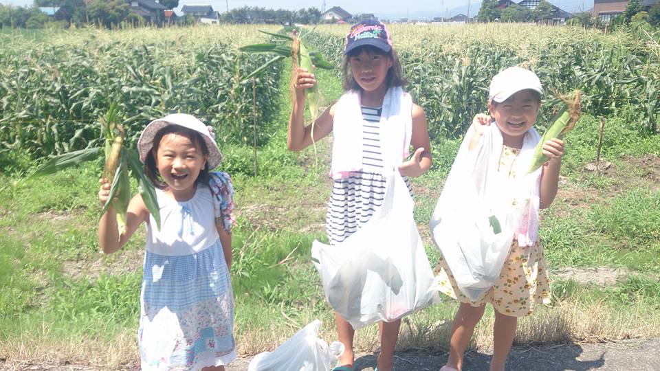 とうもろこし祭り♪