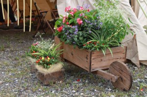 11059482_1467888116870782_4818774113423657539_o