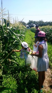 11221844_850241761720558_143805152807647261_n