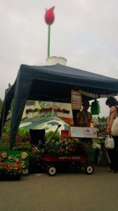 11800258_853501741394560_679393377062154789_n