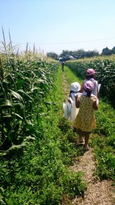 11822581_850241731720561_3337509648427102429_n