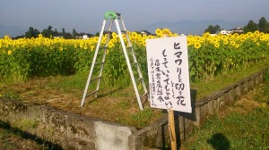 11822768_853931891351545_6760779468081380120_n