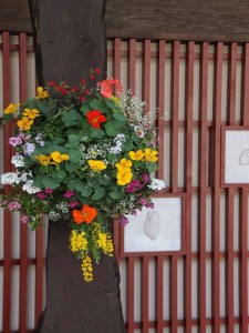 11825797_1608302382753778_4682760114306750170_n