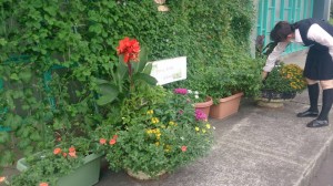 11828753_1461980500794877_2769438903942497593_n