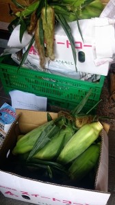 11836645_850241811720553_7153331391352694395_n