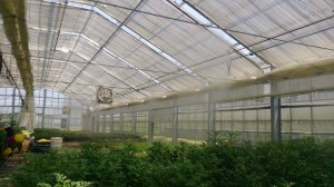 11845940_851475364930531_96791875_n