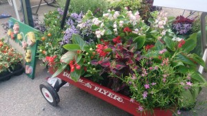 11846674_853501754727892_2788483463664407407_n