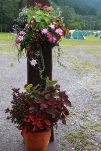 11864956_1467888890204038_8374038310232650508_o