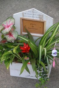 11865138_1469862740006653_3223988483110026223_o