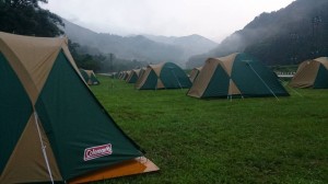 11870847_859947064083361_4800134682485139885_n