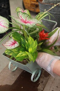 11882380_1469862670006660_2284812954346837980_o