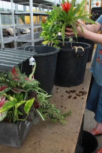 11884975_1469862660006661_7752102722847855066_o