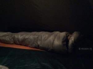 11888111_859791480765586_7726403762765200567_n