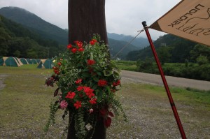 11890601_1467888926870701_2016689243303518257_o