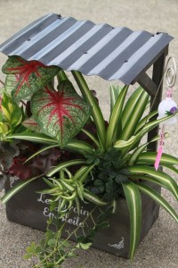 11894450_1469862700006657_6053569089961969031_o