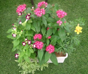 11900965_857958880948846_1048277717_o