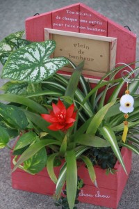 11921886_1469862696673324_1857889696152105270_o