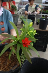 11942136_1469862663339994_8530602395892712845_o