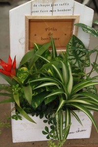 11952694_1469862666673327_8242315121072811278_o