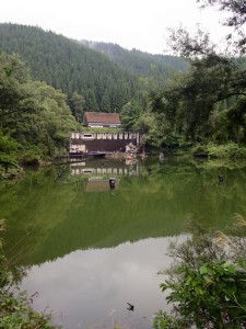 11954545_1015133218531288_5973290911222735370_n