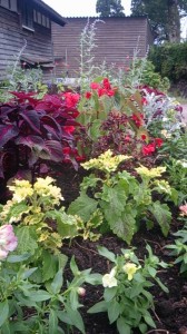 10349131_1489509204708673_8179773287661697_n