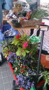 11057303_871617486249652_8102411263743620528_n