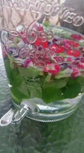 11219139_1481874775472116_7843803641812792142_n