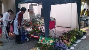 11226918_871617392916328_5711022999000546065_n