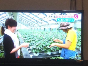 11260424_877029095708491_1117177692255388909_n