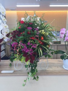 11780531_917853254952148_1619931217_n